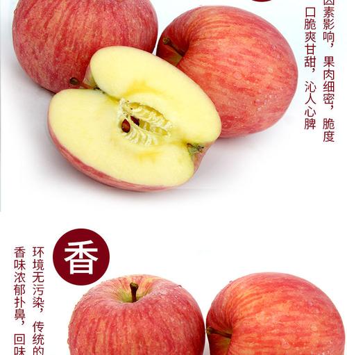 特产新鲜水果静宁苹果红富士苹果80果批发零售一件代发包邮